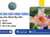 Cơ sở sản xuất bánh tráng phường Hòa Thành Tây Ninh uy tín, giá tốt